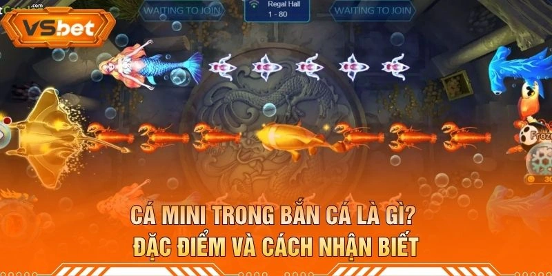 Cá Mini Trong Bắn Cá Là Gì? Đặc Điểm Và Cách Nhận Biết